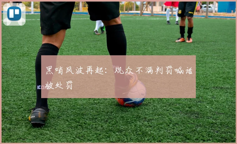 黑哨风波再起:观众不满判罚喊话被处罚